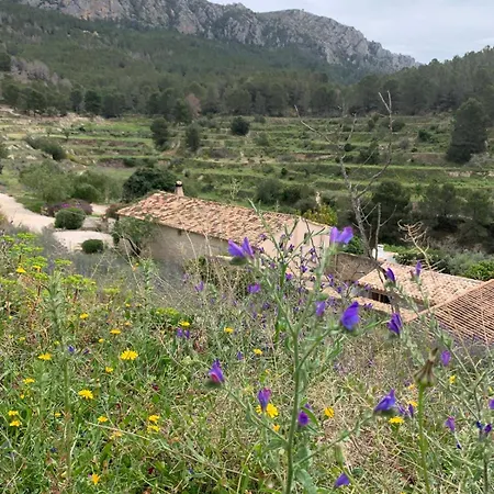 Del Ter Villa *